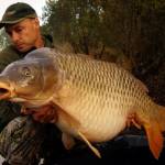 Zdokumentovan kapor uloven na boilies 35,2kg!! Rainbow