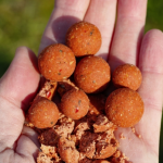 Nov army boilies Radical