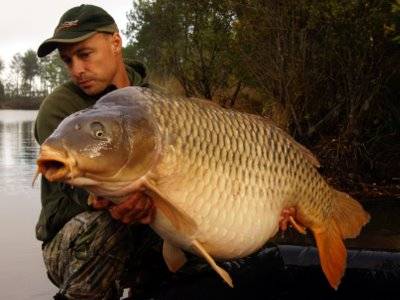 Zdokumentovan kapor uloven na boilies 35,2kg!! Rainbow