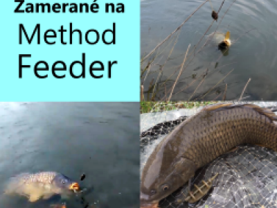 Tipy na lov rb spsobom method feeder