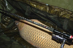 SPORTEX Revolt Carp - kapr�rske pr�ty 2-dielne