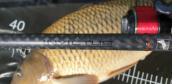 Kaprrske prty SPORTEX Invictus Carp 2-dielne