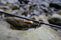 Plandavky Magic Trout Bloody Shoot Spoon 3g / 3-5cm