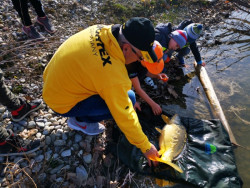 Mikina s kapuc�ou Sportex Hoodie - �lt�