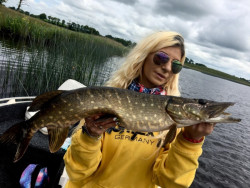 Mikina s kapuc�ou Sportex Hoodie - �lt�